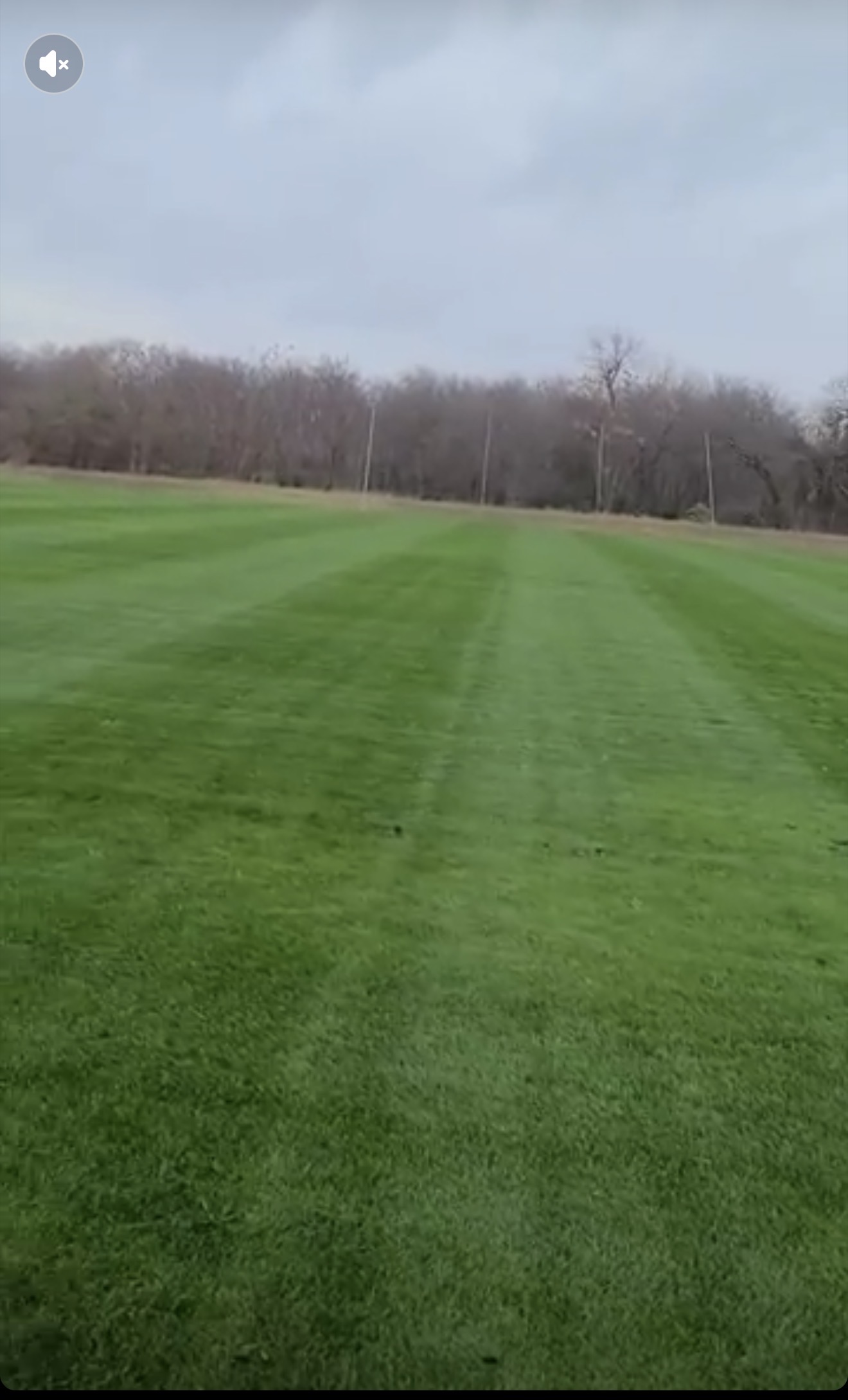 Richland College soccer field — pristine turf and striped mowing patterns
