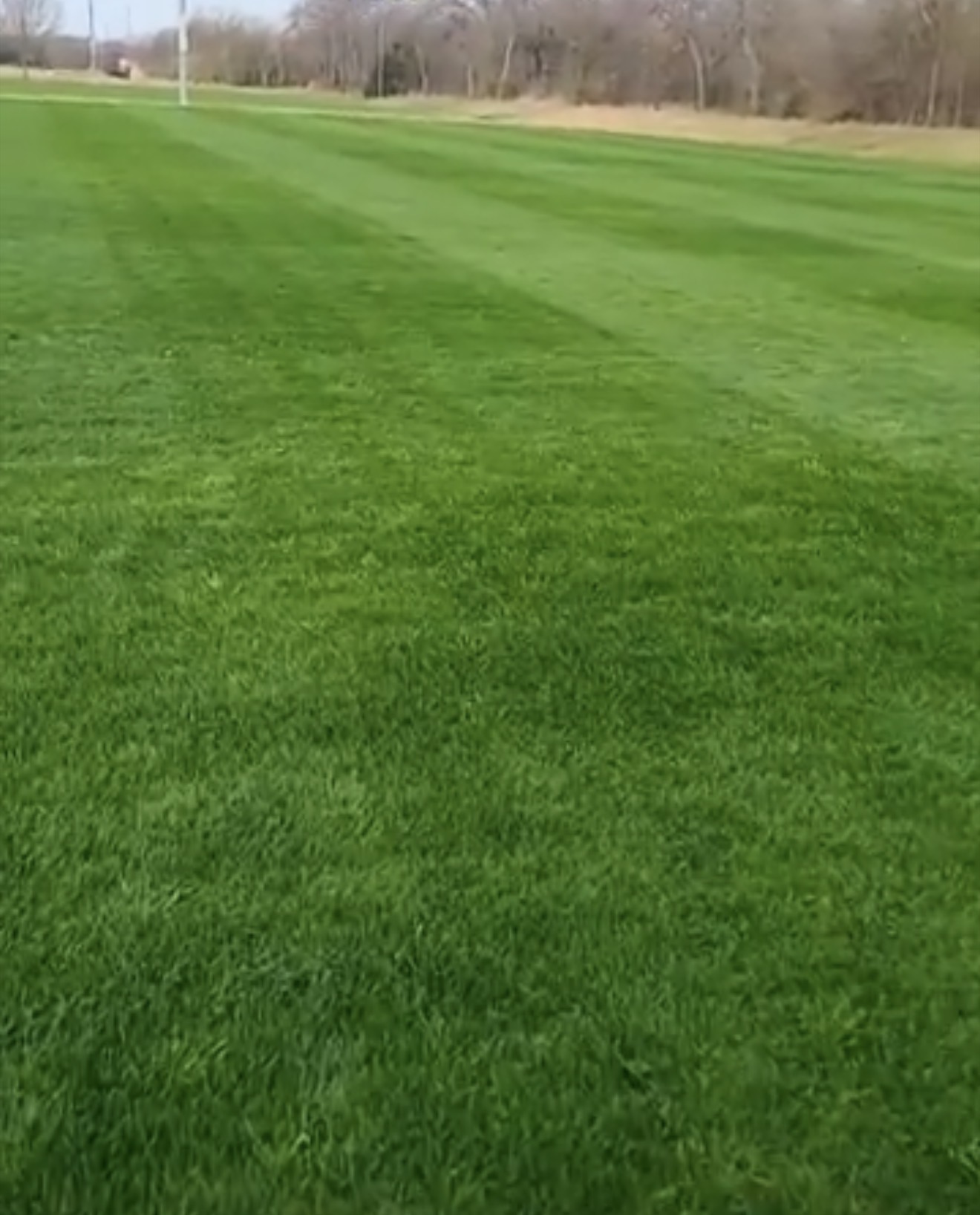 Richland College soccer field — championship-quality playing surface